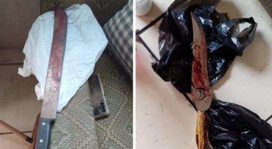 Jovem De 22 Anos É Preso Após Decapitar Cachorro No Interior De Sp