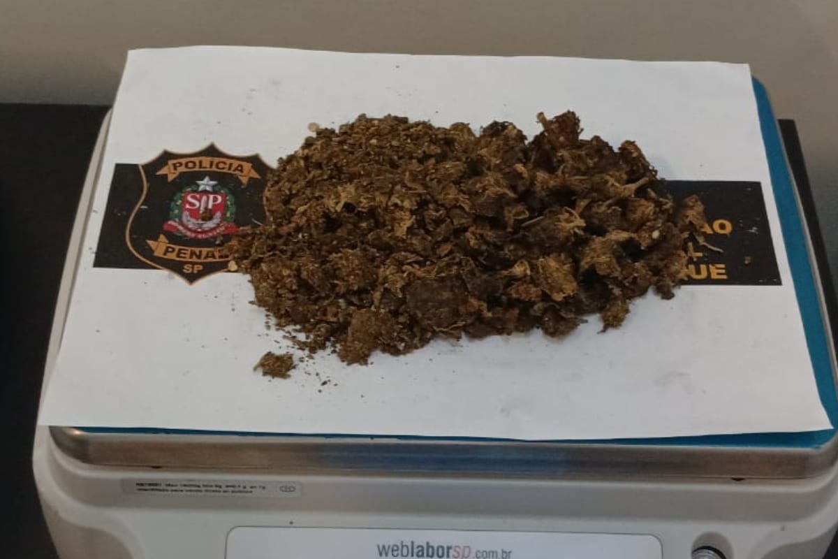 Jovem De 28 Anos É Presa Ao Tentar Entrar Com Droga Escondida Em Penitenciária De Mairinque