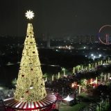 Maior Arvore De Natal De Sp E Acessa No Parque Villa Lobos