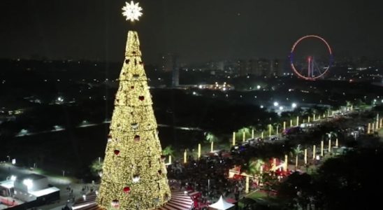 Maior Árvore De Natal De Sp É Acessa No Parque Villa-Lobos 6 Maior Arvore De Natal De Sp E Acessa No Parque Villa Lobos