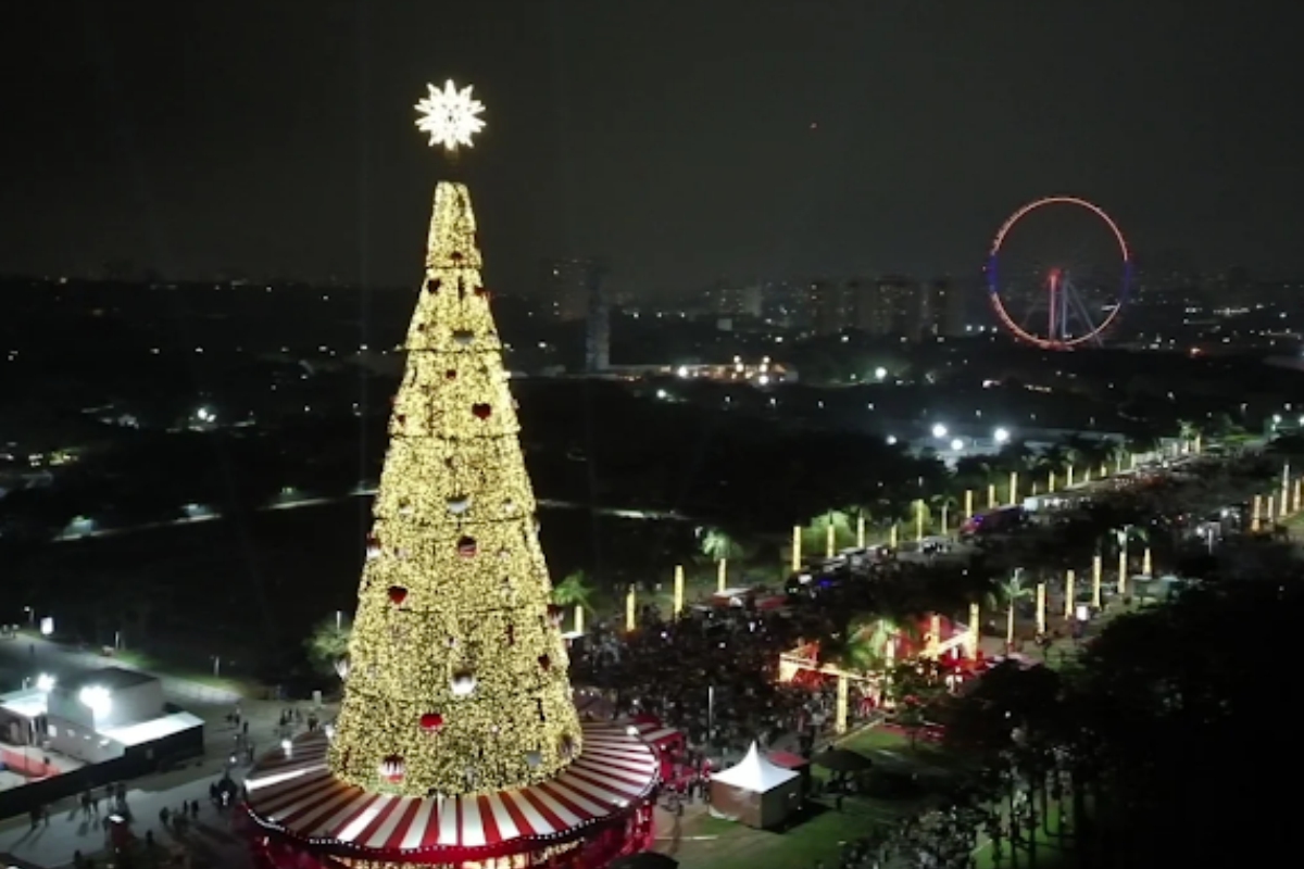 Maior Arvore De Natal De Sp E Acessa No Parque Villa Lobos