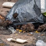 Moradores São Atacados E Mordidos Por Ratos Em Mairinque E Pedem Socorro