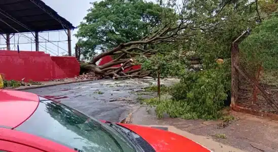 Chuva Com Ventos De At 80 Kmh Causa Estragos Em Ar 1762089495015