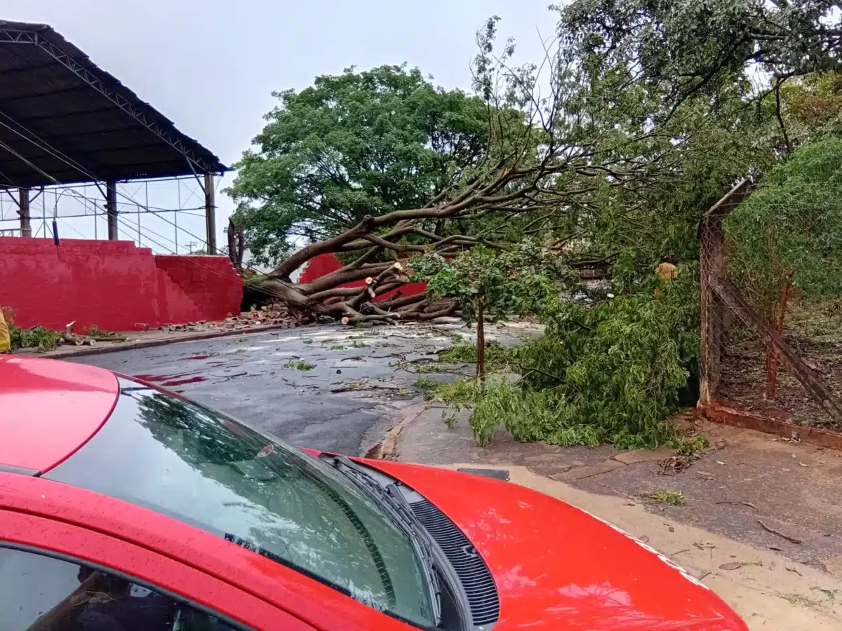 Chuva Com Ventos De Até 80 Km/H Causa Estragos Em Araraquara 7 Chuva Com Ventos De At 80 Kmh Causa Estragos Em Ar 1762089495015