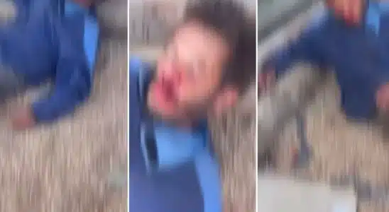 Crime E Confronto: Furto Em Floricultura Revela Tensões De Segurança Em Araraquara 10 Crime E Confronto Furto Em Floricultura Revela Ten 1762956096006