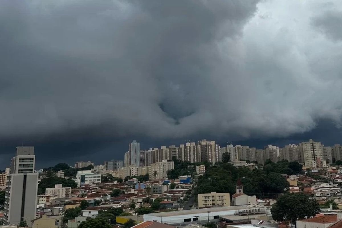 Defesa Civil Alerta Para Novos Temporais E Rajadas De Vento Em Sp