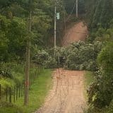 Forte Chuva Causa Queda De Árvore Em Mairinque E Interdita Estrada