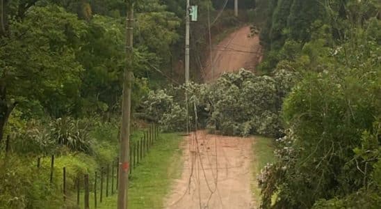 Forte Chuva Causa Queda De Árvore Em Mairinque E Interdita Estrada