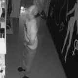 Loja Sexyshop É Furtada Durante A Madrugada, E Ladrão Leva 20 Vibradores Tamanho G