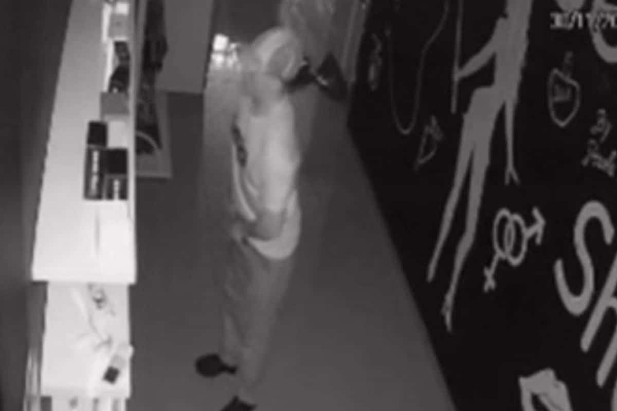 Loja Sexyshop É Furtada Durante A Madrugada, E Ladrão Leva 20 Vibradores Tamanho G