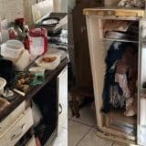 Mulher Vivia Com 46 Gatos Em Apartamento Em Mairinque Em Condições Insalubres