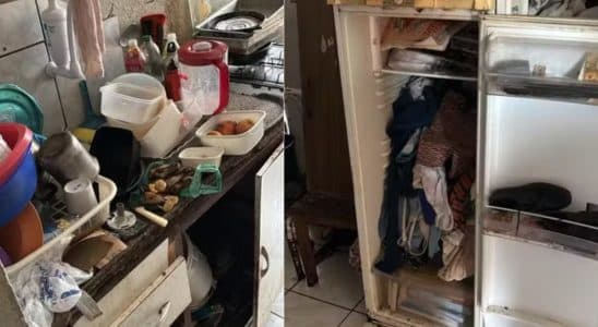 Mulher Vivia Com 46 Gatos Em Apartamento Em Mairinque Em Condições Insalubres