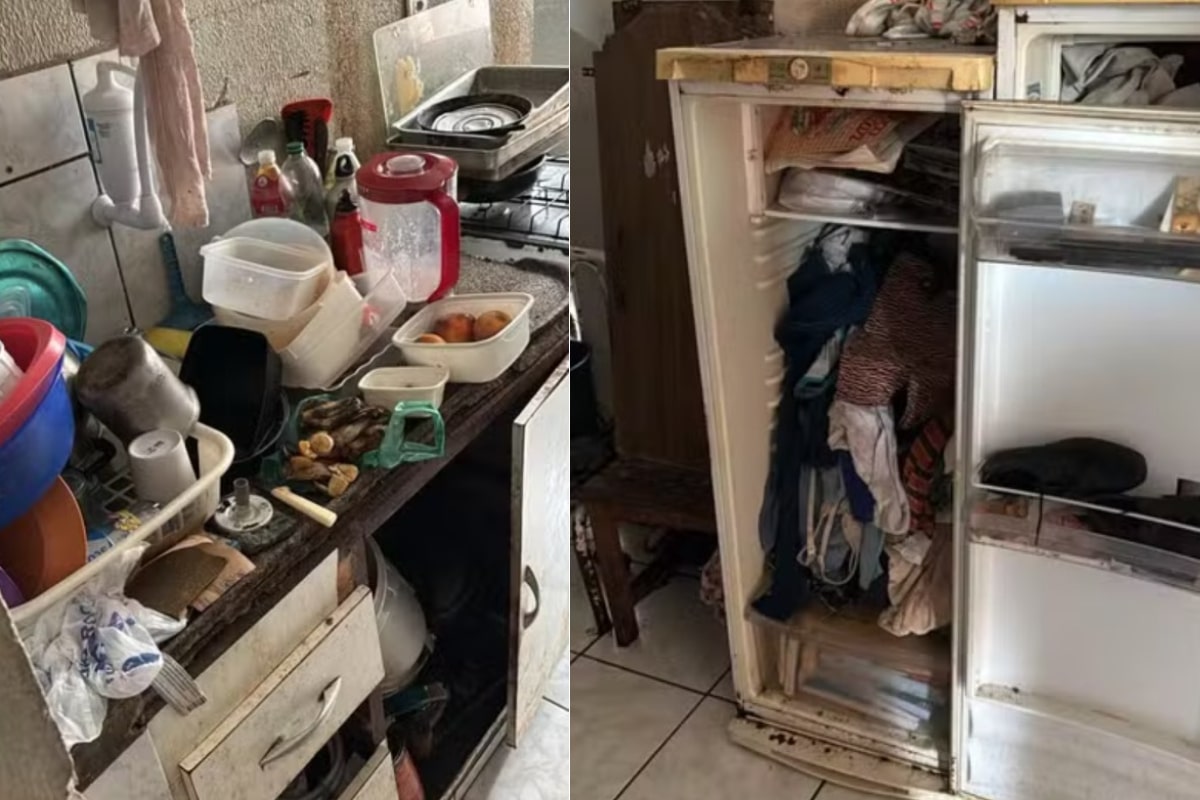 Mulher Vivia Com 46 Gatos Em Apartamento Em Mairinque Em Condições Insalubres
