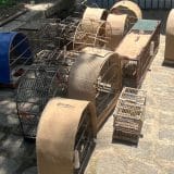 Polícia Civil Apreende 17 Pássaros Silvestres Em Bairro Em Situação De Cativeiro