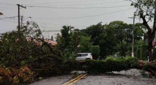 Tempestade De Vento Deve Atingir Interior De São Paulo Pelas Próximas Horas