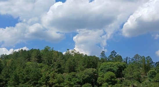 Verão 2025 Deve Ser Ter Calor Acima Da Média, Veranicos E Chuvas Irregulares