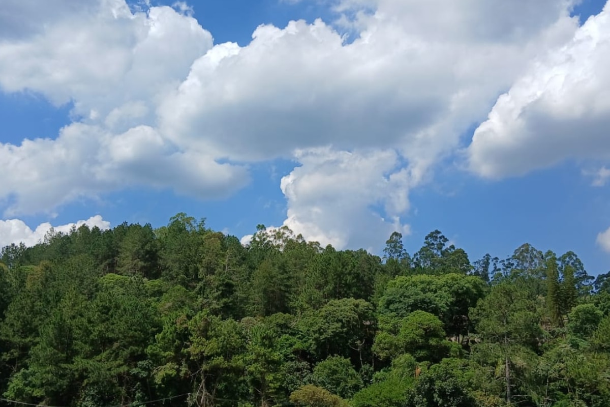 Verão 2025 Deve Ser Ter Calor Acima Da Média, Veranicos E Chuvas Irregulares