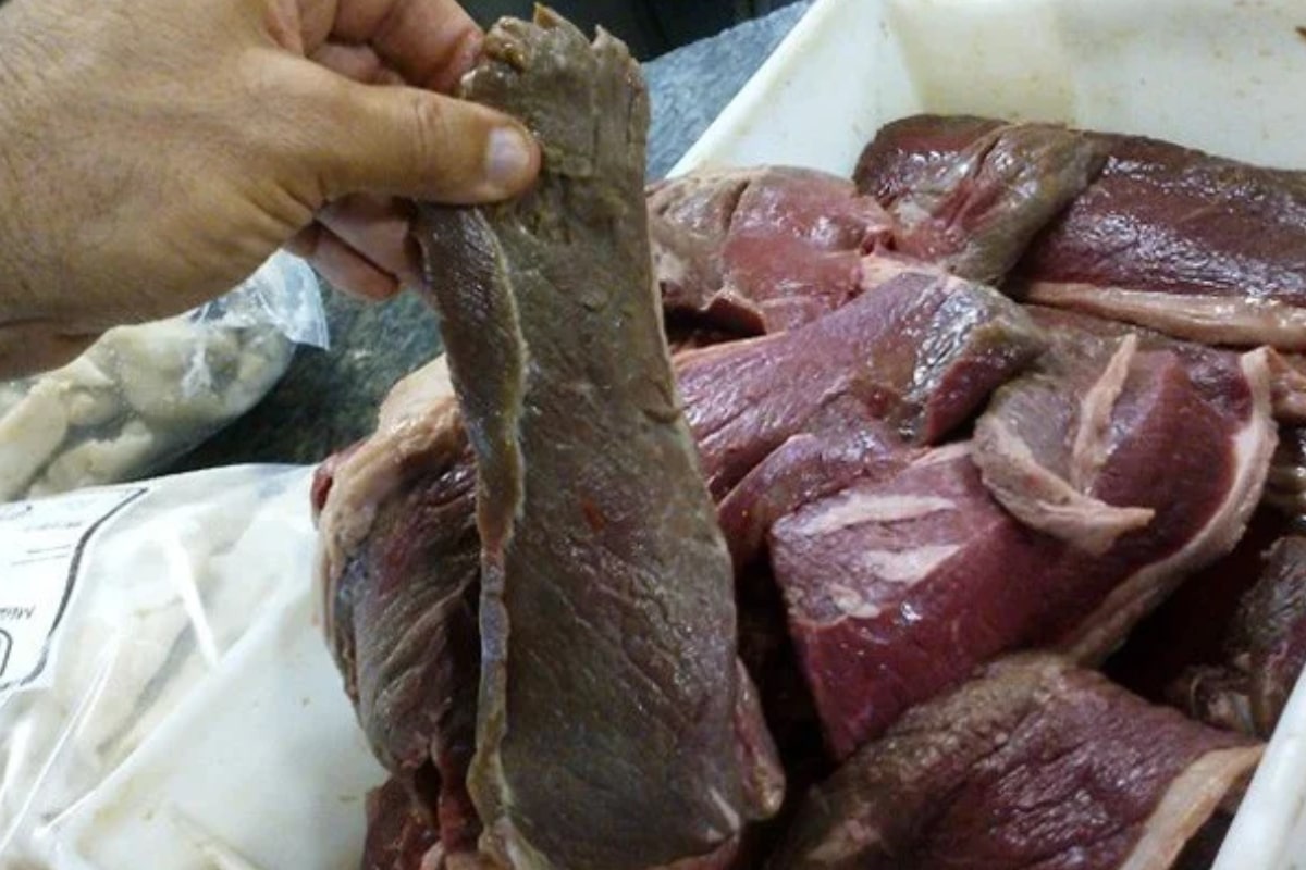 Açougue É Fechado Em Itapecerica Da Serra Após Flagrante De Venda De Carne Imprópria