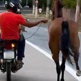 Homem É Filmado Puxando Cavalo Com Corda E Moto Em Avenida Movimentada