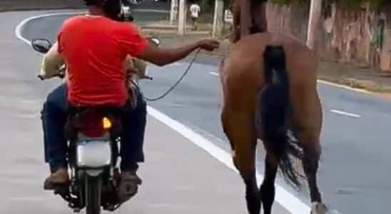 Homem É Filmado Puxando Cavalo Com Corda E Moto Em Avenida Movimentada