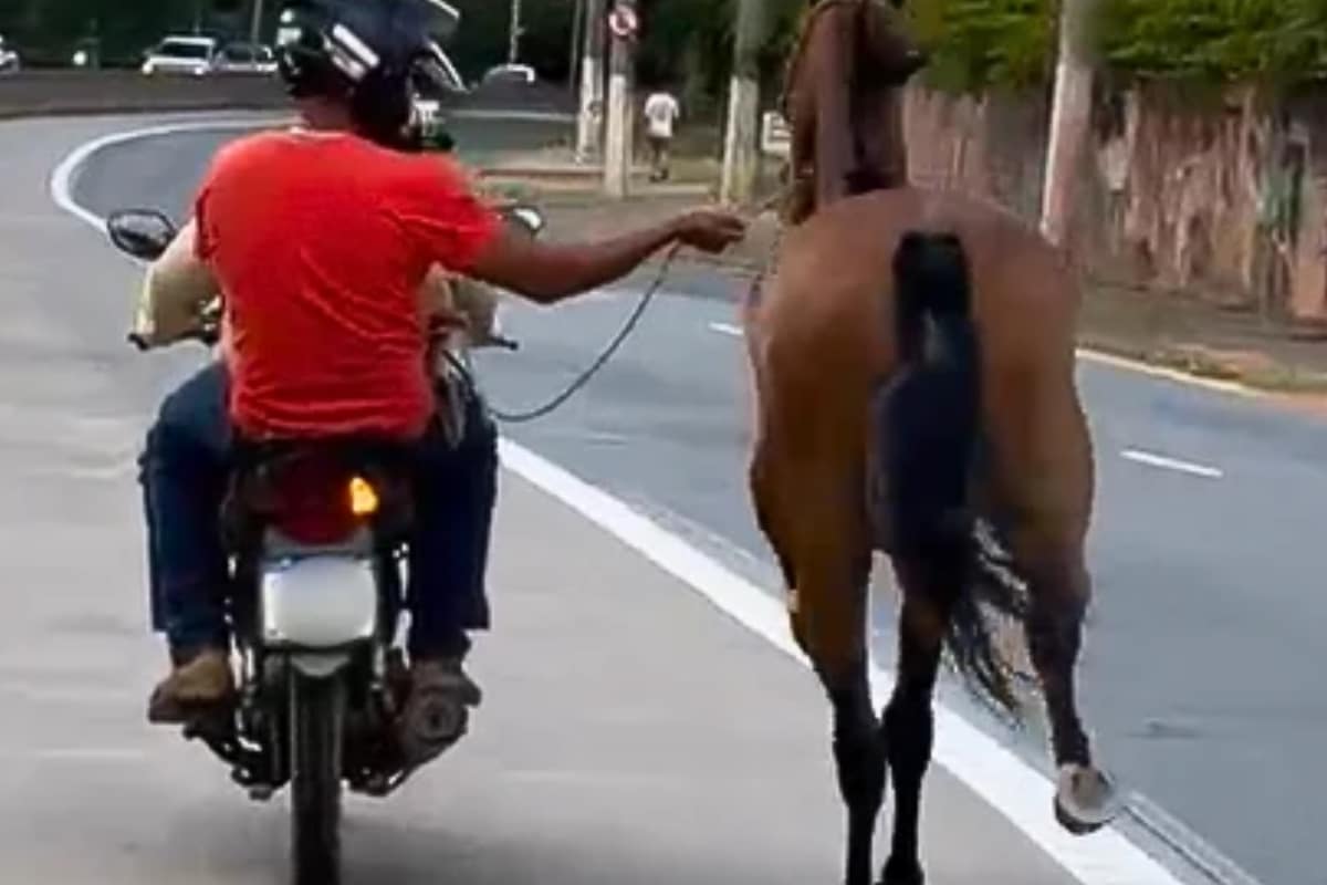 Homem É Filmado Puxando Cavalo Com Corda E Moto Em Avenida Movimentada