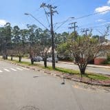 Mairinque Terá Carnaval De Rua Com 5 Dias De Festividade Na Avenida Mitsuke