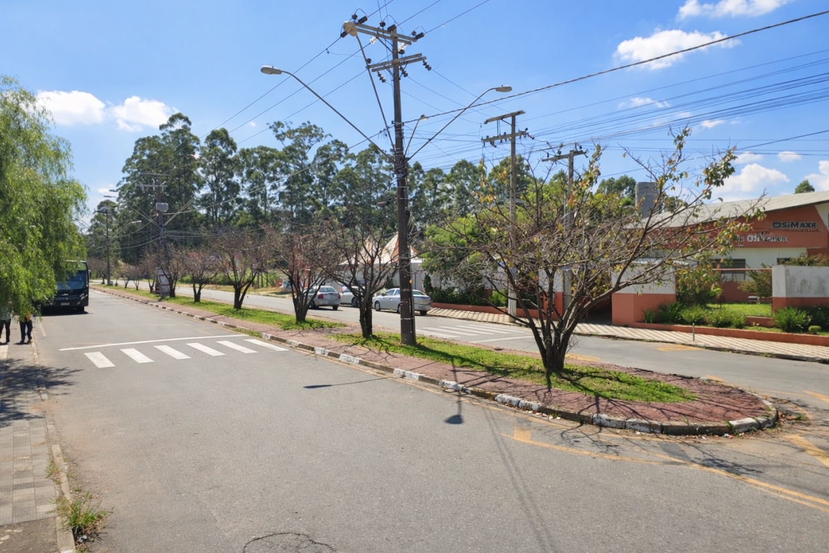 Mairinque Terá Carnaval De Rua Com 5 Dias De Festividade Na Avenida Mitsuke