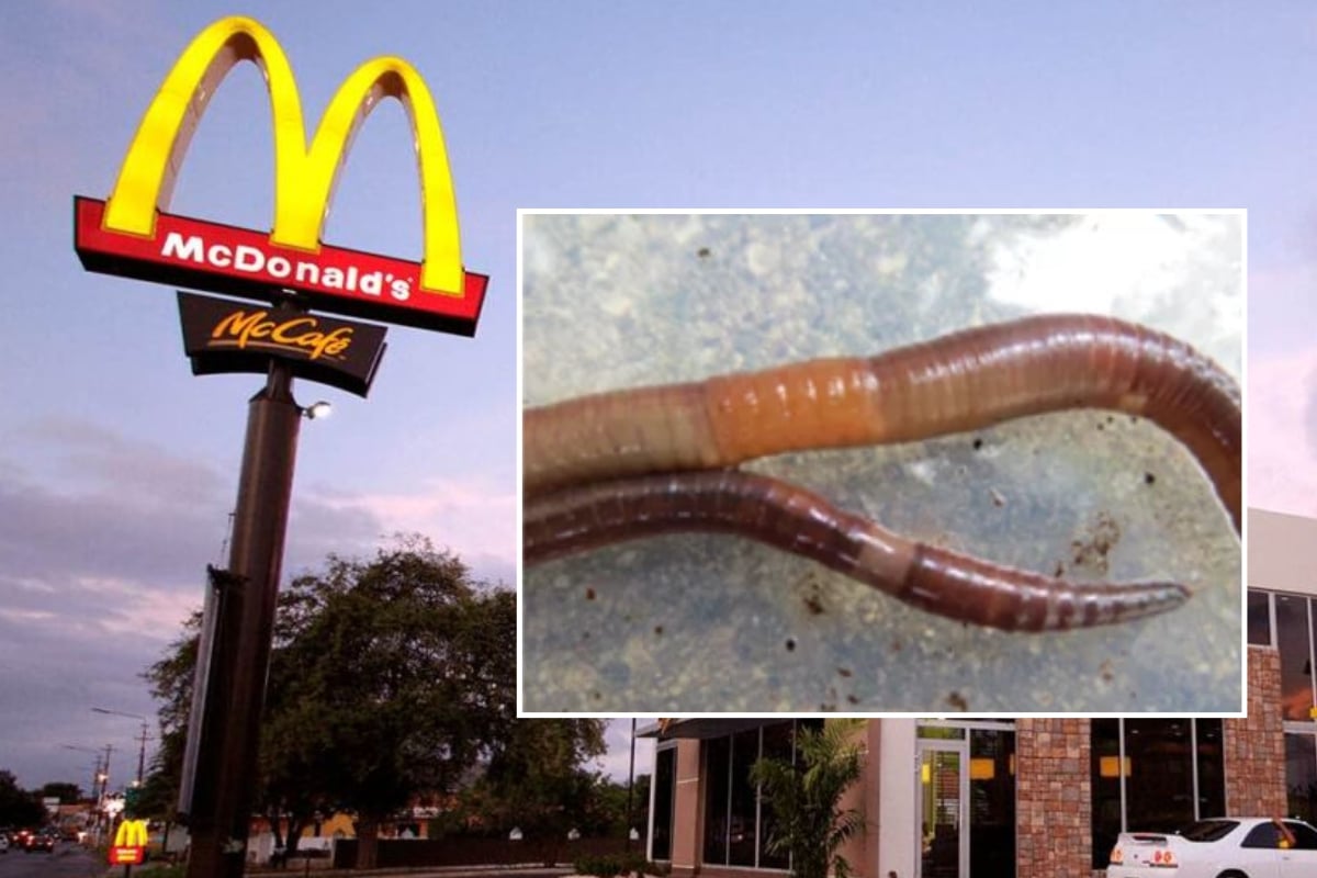 Mc Donald'S Fala Sobre Gestante Que Encontrou Minhoca Dentro De Bebida Em Restaurante