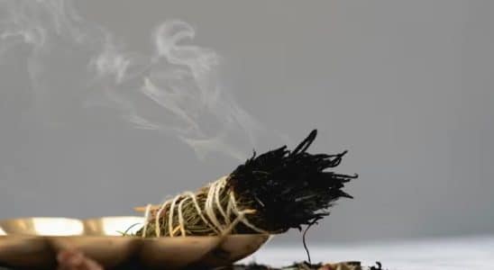 Queime Alecrim Em Casa E Veja O Que Acontece Poucos Minutos Depois