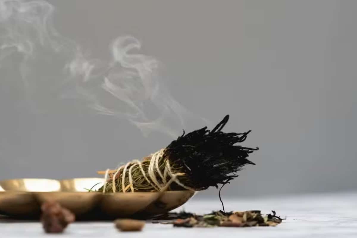 Queime Alecrim Em Casa E Veja O Que Acontece Poucos Minutos Depois