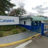 Veja Como Trabalhar Na Fábrica Da Catalent Em Sorocaba E Indaiatuba