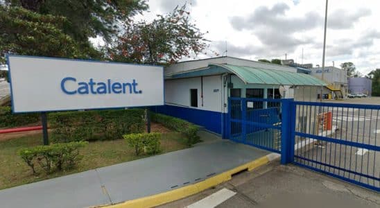 Veja Como Trabalhar Na Fábrica Da Catalent Em Sorocaba E Indaiatuba