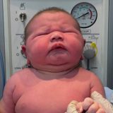 Bebê Gigante De Quase 13 Libras Surpreende Médicos 4 Beb Gigante Recm Nascido De Quase 13 Libras Surpre 1768153877052