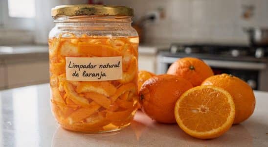 Casca De Laranja E Vinagre A Soluo Sustentvel Para 1768316925921