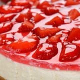 Cheesecake Inovador A Revoluo Culinria Sem Gelatin 1767884844448