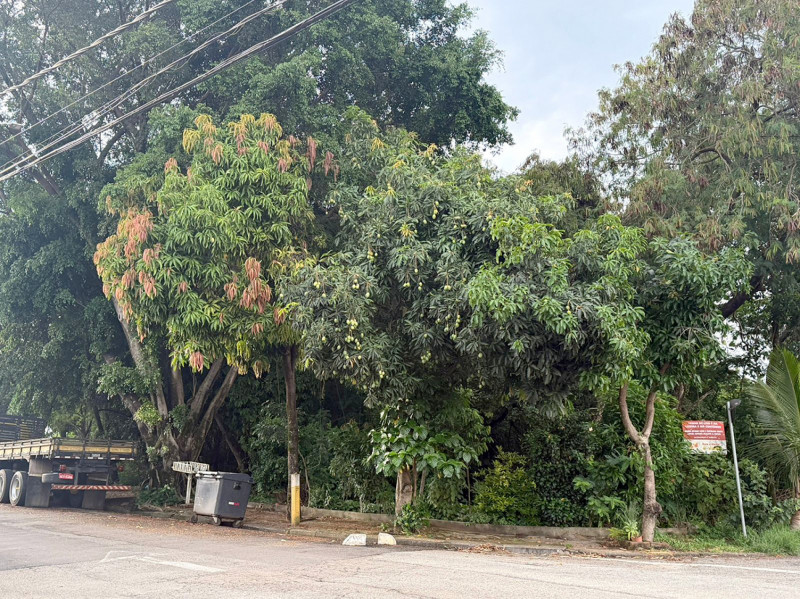 Ministrio Pblico Investiga Doao De Terreno Pblico 1768483960552