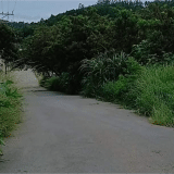 Calçada E Rua Em Mairinque Estão Tomadas De Mato Sem Limpeza Há Meses