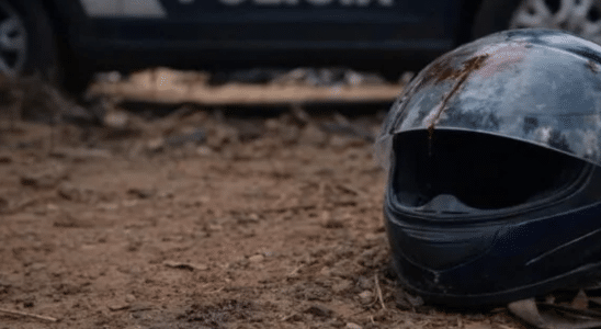 Homem É Investigado Por Matar Cachorro Com Golpes De Capacete No Interior De São Paulo