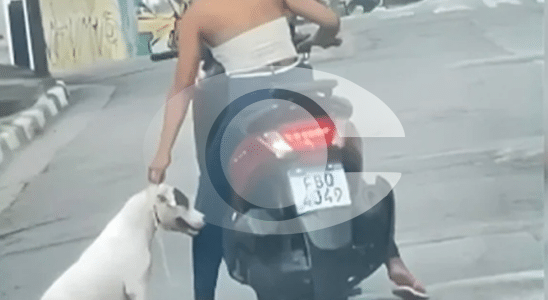 Jovem De 18 Anos É Filmada Arrastando Cachorro Com Moto