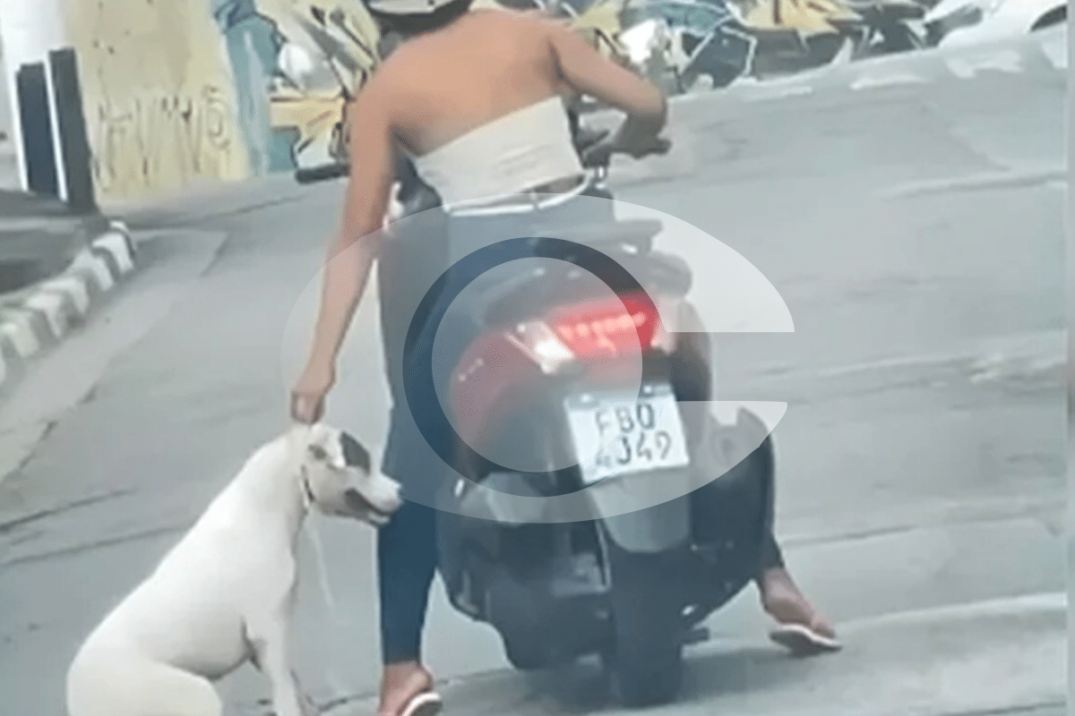 Jovem De 18 Anos É Filmada Arrastando Cachorro Com Moto