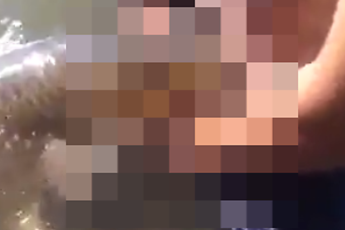 Mãe Bate Em Filho E Avó Em Mairinque Ao Descobrir Que Ele Assistia Zoofilia No Telegram