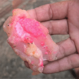 Moradora De Bairro De Sorocaba Descobre Tentativa De Envenenamento De Seu Pitbull