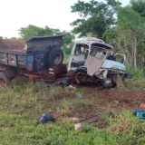 Motorista E Passageiro Morrem Em Acidente De Caminhao Causado Por Ataque De Abelhas