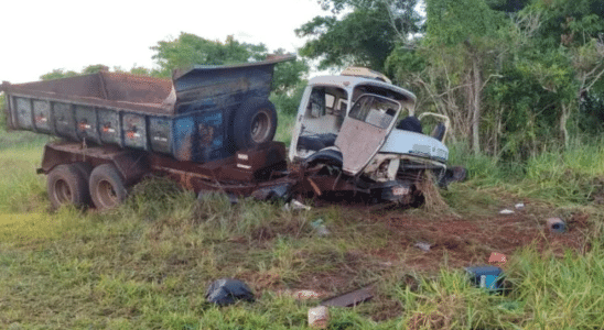 Motorista E Passageiro Morrem Em Acidente De Caminhao Causado Por Ataque De Abelhas