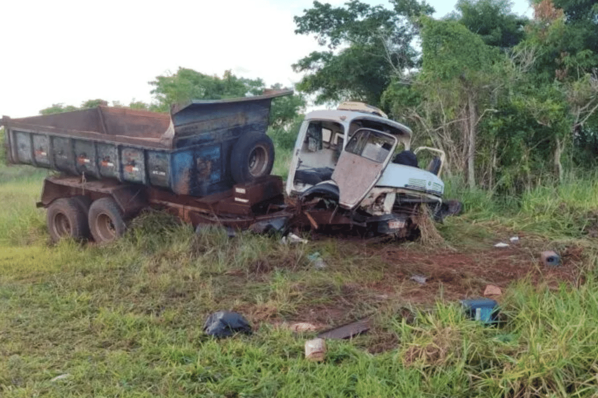 Motorista E Passageiro Morrem Em Acidente De Caminhao Causado Por Ataque De Abelhas