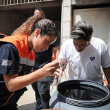 Surto De Dengue Preocupa Autoridades Em Cotia