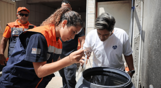 Surto De Dengue Preocupa Autoridades Em Cotia