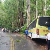 Acidente Com Nibus Escolar Deixa Crianas Feridas E 1770125768351
