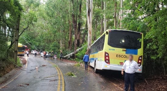 Acidente Com Nibus Escolar Deixa Crianas Feridas E 1770125768351