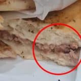 Cliente Encontra Larvas Em Salgado Na Rodoviria De 1771684520018